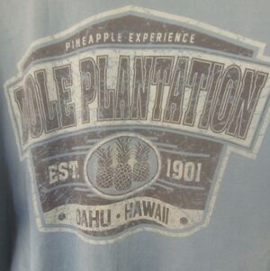 Men's Dole Plantation Oahu Hawaii Blue T Shirt Size Large Hawaiian Luau Tropical